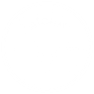 Rallye Aïcha des Gazelles du Maroc