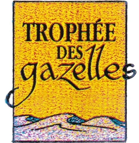 Les années 1990
